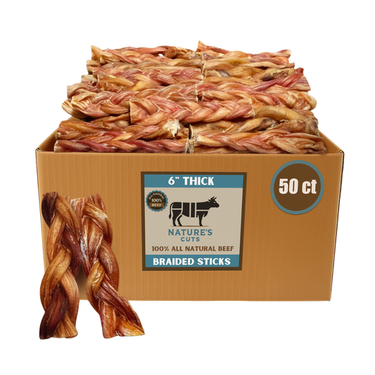 6" Thick Braided Bully Sticks